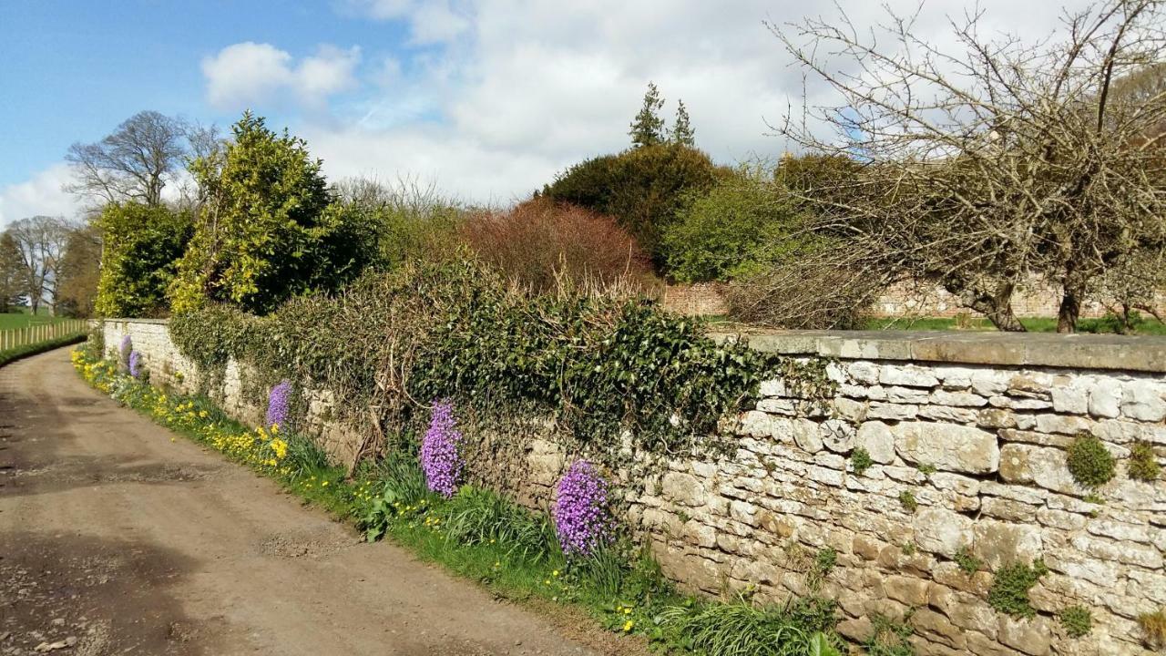 Owl Cottage Hexham Buitenkant foto